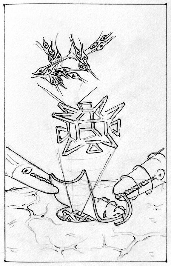 Concept sketch option 1